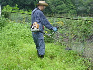 ナイロンコードの草刈機は、フェンスや金網があるところでも使える。田舎暮らしは雑草との闘い。