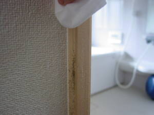 浴室入口の木枠のカビ、市販のエタノール80％のウェットティッシュを使ってカビの部分を拭き取る。