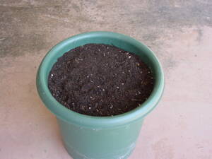 プランターに鉢底石を入れて土を入れる。