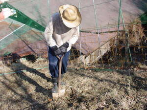 畑の準備たため、スコップで土を掘り起こす。
