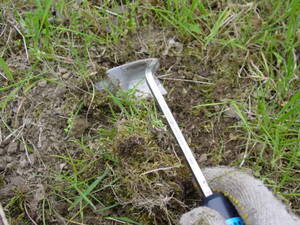 種蒔きをするとろの草を刈って、土を露出させる。直径30センチほど。