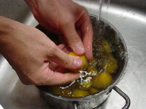 梅シロップの下準備：梅を水洗いする～スローフードのレシピ