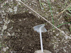 種まきをするところの土をほぐす：自然栽培でプチ自給自足