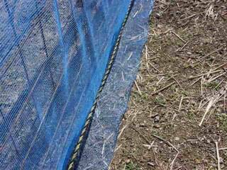 防獣ネットの足元はロープとU字ピンを使って固定する：防獣柵を設置する｜畑の準備をする