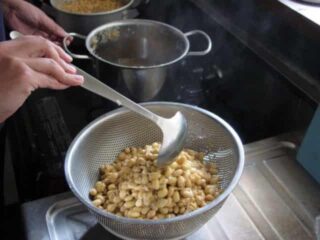 指で簡単につぶれるくらいになったら、大豆を取り出す：手作り味噌をつくる