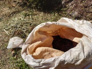 土を入れる：フレコンバッグでの腐葉土・堆肥のつくり方