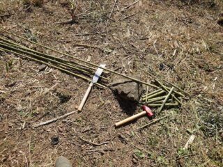 鉈の活用、竹の枝払い：錆びた鉈（ナタ）の砥石での研ぎ方