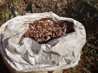 枯れ葉は全体の8割ぐらい入れる：フレコンバッグでの腐葉土・堆肥のつくり方